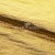 Текстильный материал "Диско"#1805 с покрытием РЕТ, 40гр/м2, 100% полиэстер, цв.5-золото - купить в Ельце. Цена 416.57 руб.