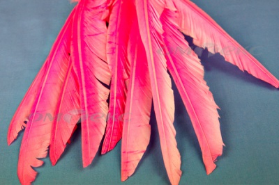 Декоративный Пучок из перьев, перо 25см/розовый - купить в Ельце. Цена: 14.54 руб.