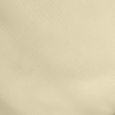 Ткань подкладочная Таффета 14-1014, антист., 53 гр/м2, шир.150см, цвет бежевый - купить в Ельце. Цена 62.37 руб.