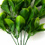 Трава искусственная -1, шт (эвкалипт лист 32 см/8 см)				 - купить в Ельце. Цена: 169.93 руб.