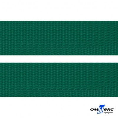 Зелёный- цв.876 -Текстильная лента-стропа 550 гр/м2 ,100% пэ шир.20 мм (боб.50+/-1 м) - купить в Ельце. Цена: 318.85 руб.