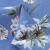 Плательная ткань "Фламенко" 12.1, 80 гр/м2, шир.150 см, принт растительный - купить в Ельце. Цена 243.96 руб.