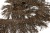 008-коричневый, Бахрома арт.001 шир.10см (упак.12+/-0,5м) - купить в Ельце. Цена: 1 017.33 руб.
