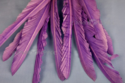 Декоративный Пучок из перьев, перо 25см/фиолетовый - купить в Ельце. Цена: 12.19 руб.