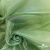 Ткань органза, 100% полиэстр, 28г/м2, шир. 150 см, цв. #27 зеленый - купить в Ельце. Цена 86.24 руб.
