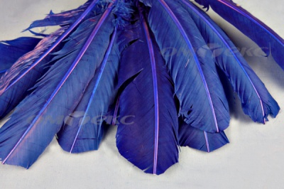 Декоративный Пучок из перьев, перо 23см/синий - купить в Ельце. Цена: 12.34 руб.