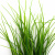 Трава искусственная -3, шт (осока 50 см/8 см  5 листов)				 - купить в Ельце. Цена: 124.17 руб.